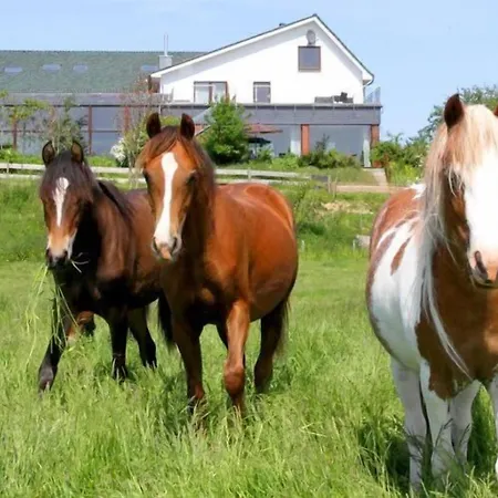 Frühstückspension Ostseeblick