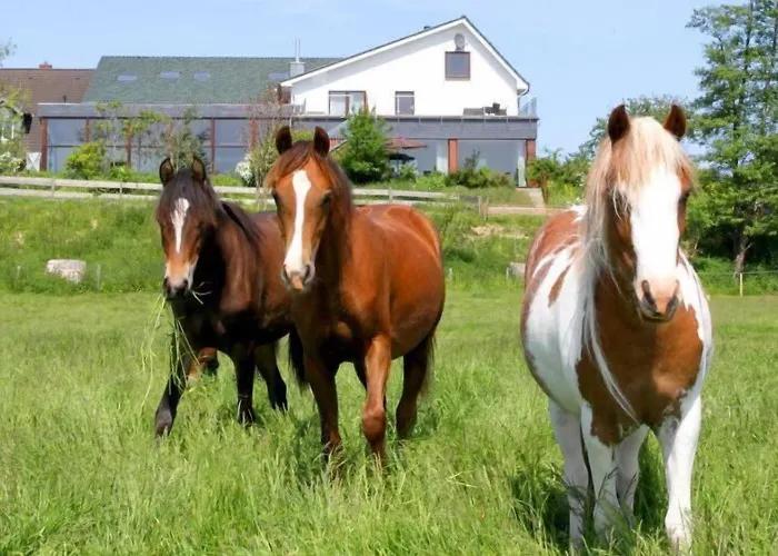 Bed & Breakfast Ostseeblick